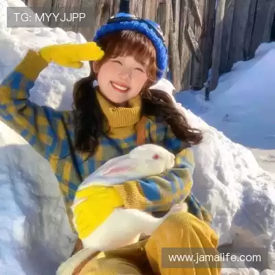 伏曼凤